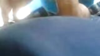 Pikaper s-a trasat o ...